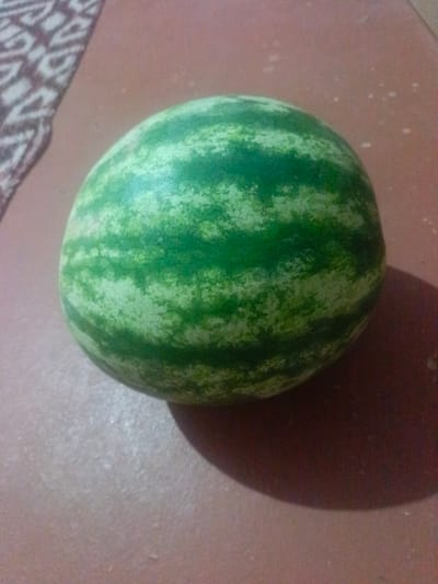 A single, whole watermelon with green stripes sits on a reddish-brown, textured surface. To the left of the watermelon, a portion of a patterned textile, likely a rug or cloth, is visible. The background is indistinct and appears to be a continuation of the surface. The lighting casts a shadow of the watermelon to the right. There are no people or signs of activity in the scene. The image does not contain any discernible features that would allow for identification of a specific location in Guzar, Uzbekistan.