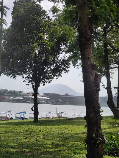 The scene depicts a park area beside a body of water in Thuận Hóa Ward, Vietnam, under a hazy sky. In the foreground, green grass covers the ground, partially shadowed by the foliage of several mature trees. A thick-trunked tree stands prominently on the right, with another thinner tree positioned towards the left. Along the grassy bank leading to the water in the midground, a line of at least six pedal boats is beached. These boats feature white exteriors with various colored tops or accents, including blue and red, and appear to be swan- or duck-shaped. Across the body of water, various buildings are visible, including structures with distinct white, pointed tent-like roofs and larger, multi-story buildings, one of which displays a Vietnamese flag. A large, indistinct mountain range forms the distant background, partially obscured by atmospheric haze. No individuals are visible within the frame.
