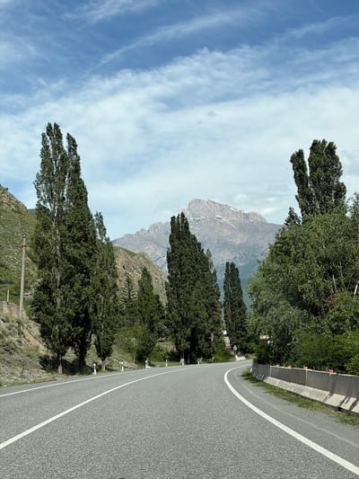 The image depicts a winding asphalt road in the mountainous terrain near Mizur, Russia. Tall, slender trees line the left side of the road, with a steep, vegetated mountainside behind them. On the right side of the road, a concrete barrier separates the roadway from dense foliage and more trees. In the background, imposing, rugged mountains with patches of snow rise against a sky with scattered white clouds. The road itself is grey asphalt with clear white lane markings. There are no people or vehicles visible in the scene. The overall impression is one of a scenic, remote mountain road.