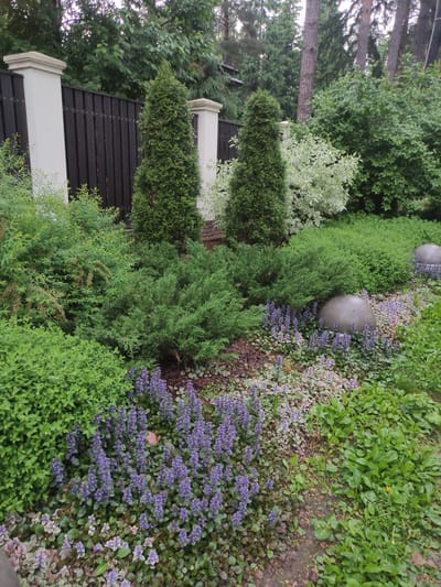 The image shows a section of a garden landscape. There are multiple plants and bushes. The plants are various shades of green, with some flowering plants having purple blossoms. Two gray spherical decorative objects are placed amidst the greenery. A dark wooden fence with white posts runs along the edge of the garden. The location is near Kratovo, Russia.
