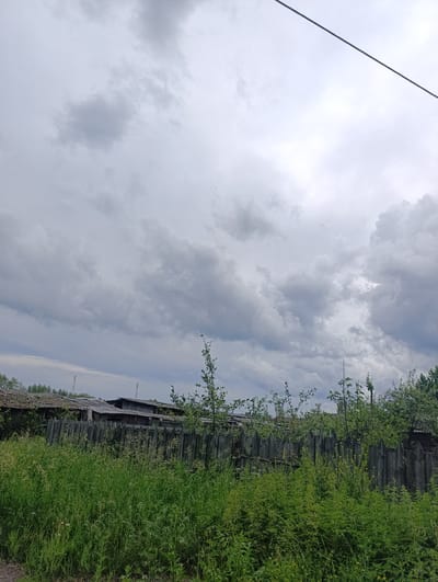 The image depicts an overcast sky with dramatic, grey clouds above a rustic scene. In the foreground, lush green grass and various plants grow tall, partially obscuring a weathered wooden fence made of upright, pointed posts. Behind the fence, several dilapidated wooden structures with damaged roofs are visible, suggesting a rural or abandoned settlement. The overall impression is one of a somewhat somber and neglected environment under a heavy sky, possibly indicative of impending rain. The scene is set in the village of Tugulym, Russia.