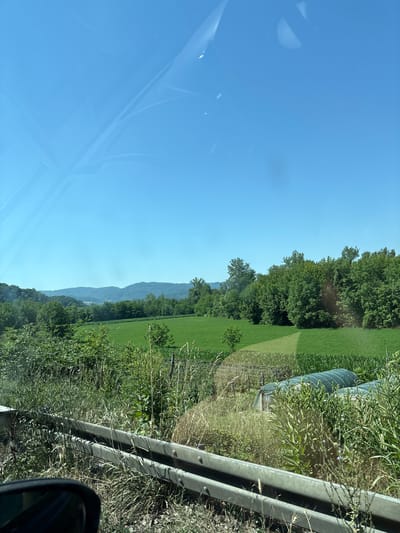 The image depicts a rural landscape under a clear blue sky, viewed from the perspective of a moving vehicle. In the foreground, a metal guardrail runs horizontally across the frame, partially obscured by tall, dry grass and some green foliage. To the right of the guardrail, several agricultural hoop tunnels covered in green plastic are visible, suggesting a farming or gardening area.
Beyond the guardrail and vegetation, a vibrant green field stretches into the middle ground. This field appears to be cultivated, possibly with crops like corn, as indicated by rows of taller green plants to the right. Further back, a dense line of lush green trees forms a natural border, and beyond that, rolling hills covered in trees recede into the distance, under the vast expanse of the sky. The overall scene conveys a sense of natural beauty and agricultural activity in a Serbian countryside, consistent with the geography of Mali Zvornik Municipality. There are no people visible in the image. The reflection of the sky and possibly the vehicle's interior can be seen on the surface from which the photo is taken, likely a window.