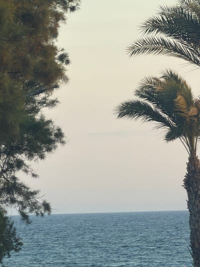 A view of the Mediterranean Sea from Pervolia, Cyprus, on an overcast day. The ocean is a deep blue, with gentle waves creating a textured surface. The horizon is clearly defined against a pale, hazy sky. In the foreground, the fronds of two palm trees, one on the right and one partially visible on the left, frame the scene. The palm fronds are dark green and appear lush. The tree on the left is an evergreen with a feathery appearance. The overall impression is one of a serene coastal landscape.