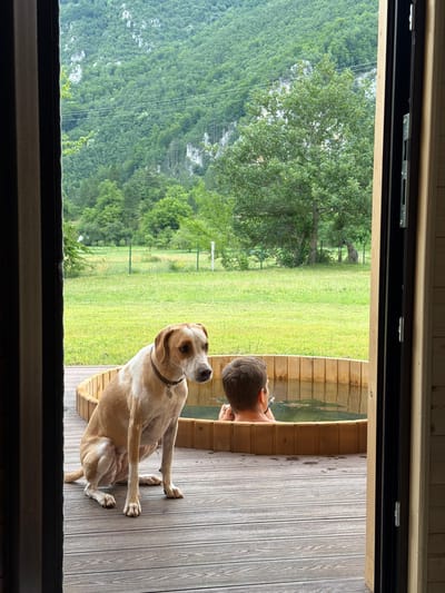 In Bistrica, Montenegro, a tan and white dog sits on a wooden deck, facing a person immersed in a circular wooden hot tub. The person's back is to the camera, and they appear to be holding something in their hand. The hot tub is filled with green water. Beyond the deck and hot tub, a large, grassy field stretches towards a dense, green forest that covers the side of a mountain. The scene is framed by the open doorway of a wooden structure.