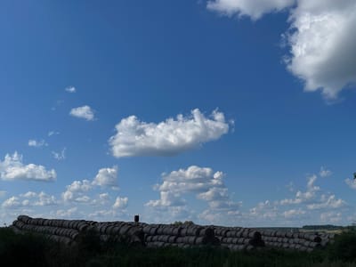 In Perevoznoe, Russia, a landscape photograph captures a vast expanse of blue sky dotted with fluffy white cumulus clouds. Below the sky, a long, undulating line of round hay bales stretches across the lower portion of the frame, arranged in stacked rows. These bales appear to be made of dried grass or straw, typical of agricultural storage. In the far distance, a treeline forms the horizon, suggesting a rural or agricultural setting. The foreground is dominated by dark green foliage, likely bushes or tall grass, obscuring the base of the hay bales and adding a sense of depth to the scene. The overall impression is one of a serene, sunny day in the countryside.