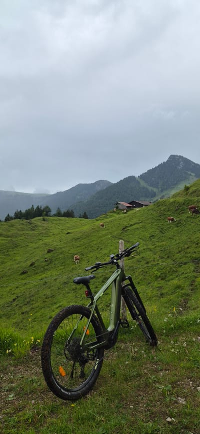 The image captures a rural mountain landscape in Erl, Austria, under an overcast sky. In the foreground, a dark green mountain e-bike, featuring a black saddle, handlebars, and knobby tires with orange spoke reflectors, is propped against a weathered wooden post on a grassy slope. The ground around the bike is a mix of green grass and visible soil, with small yellow and white wildflowers scattered throughout.
The midground showcases rolling green pastures on hills, where multiple brown and white cows are dispersed and actively grazing. A thin wire fence spans horizontally across this section. Further back on a hillside, a cluster of traditional wooden buildings with dark roofs is visible, suggesting alpine chalets or barns.
The background consists of several layers of mountains, heavily forested with dark green coniferous trees. The sky above is uniformly light grey and cloudy, indicating overcast weather conditions. The overall scene presents a serene, damp, and rugged natural environment.
