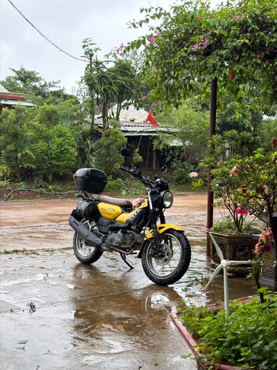 A yellow Yamaha scooter is parked on a wet, paved surface in front of a building with a red flag. The scooter has a black top box and two black saddlebags. Lush green vegetation and trees surround the scene. In the background, there are several structures with corrugated metal roofs. A small white pinwheel stands in a planter to the right of the scooter. The sky is overcast, and the ground appears wet, suggesting it may have recently rained.
