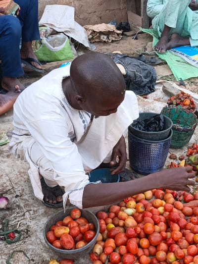 An outdoor market scene in Kawaji, Nigeria, depicts an adult male engaged in sorting produce. The central figure, a dark-skinned man with a bald head showing faint scarring, is crouched barefoot on a light-colored, possibly concrete or packed earth surface. He wears an off-white long-sleeved tunic (agbada or similar) with light grey embroidered trim around the neckline and cuffs. His right arm is extended, and his hand is positioned over a large, irregular pile of small, predominantly red and some orange/yellow ovate produce, consistent with tomatoes or peppers, spread on the ground directly in front of him.
To his immediate left, a dark grey metal bowl contains a smaller quantity of similar produce. To his right, two dark blue textured plastic buckets are stacked, with the upper one containing a black plastic bag. Adjacent to the buckets is a green woven basket, partially filled with discarded or damaged red and yellow produce. Small red onions and green leaf fragments are visible on the ground near his left knee.
In the upper left, the lower legs and feet of another individual are visible; this person wears dark blue trousers and a black flip-flop on their right foot, with the left foot bare. In the upper right background, the bare feet and lower legs of a third person wearing light green trousers are visible. The background further includes a light brown, possibly mud-brick, wall, various discarded items such as light-colored sacks, a green sack with "PREMIUM RICE" text partially visible, crumpled brown material, and black plastic refuse.