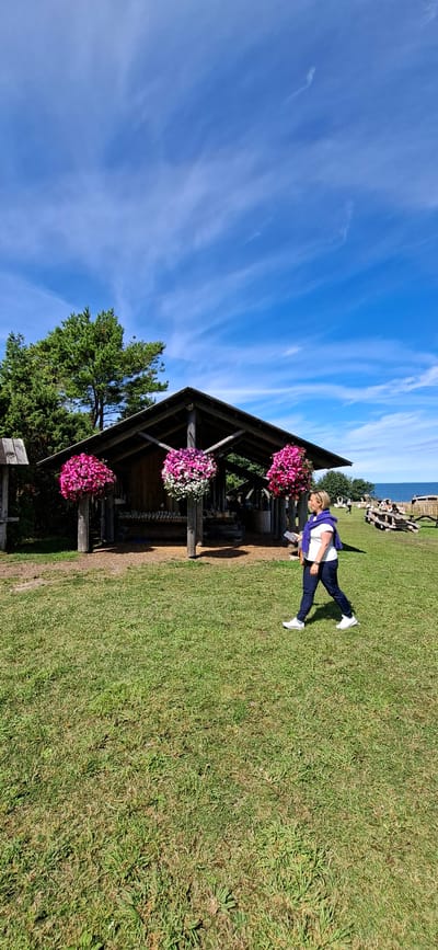 A woman walks across a grassy lawn towards a wooden structure with a slanted roof, adorned with three large hanging baskets of pink and white flowers. She is wearing dark pants, a white t-shirt, and a purple sweater draped over her shoulders. In the background, picnic tables and benches are visible near a body of water. The sky is blue with wispy white clouds. This scene is located in Panga, Estonia.