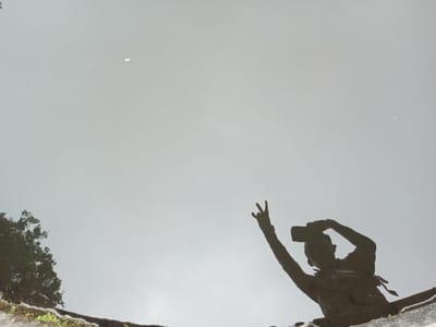The image captures a unique perspective, likely a reflection in water, showing a silhouetted person holding a smartphone and making a peace sign. The background is a muted gray-white, suggesting a cloudy sky or overcast lighting. A tree branch or foliage is visible in the lower left corner, adding a natural element to the scene. The composition creates an intriguing contrast between the organic and the technological.