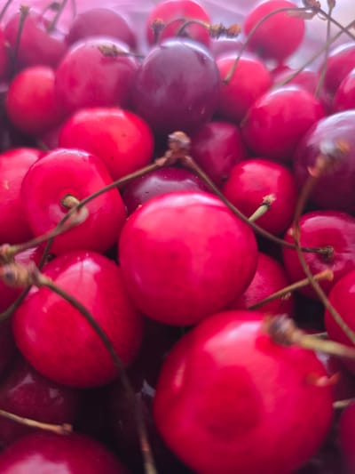 A close-up, overhead shot of a pile of red cherries with stems. The cherries are various shades of red and some are a deeper purple color. They are clustered together, filling the frame. The image appears to be taken indoors or in a controlled environment, with a soft, diffused light. There is no discernible urban environment or specific location in Petropavlivska Borshchahivka, Ukraine visible. The scene is entirely focused on the fruit.
