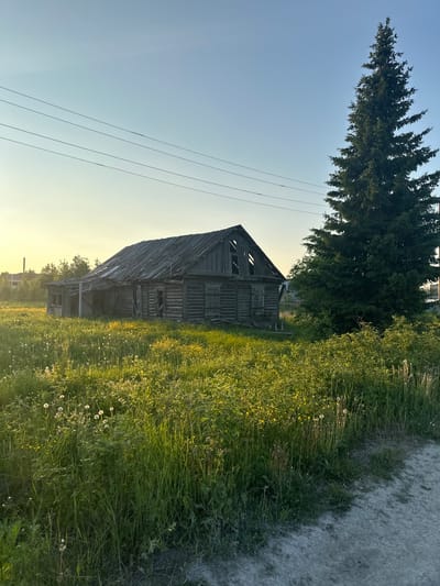 The image depicts a dilapidated wooden house in a rural setting, likely in Izyayu, Russia, bathed in the warm glow of the setting sun. The house, constructed from weathered logs, exhibits significant disrepair, with a partially collapsed roof revealing the open sky. Windows are broken, and the porch area shows signs of decay.

Surrounding the house is a field of tall, green grass interspersed with yellow wildflowers and white dandelion seed heads. A large, mature evergreen tree stands prominently to the right of the house, its dark green needles contrasting with the softer tones of the landscape. In the background, more trees and a distant structure can be seen, hinting at a small settlement. Power lines traverse the sky above the scene. A dirt or gravel path runs along the right edge of the frame, leading away from the viewer. The overall impression is one of abandonment and the passage of time, set against a serene natural backdrop. There are no people or animals visible in the image.