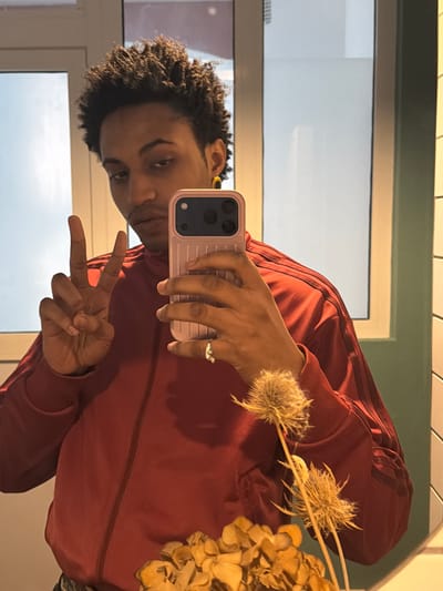 The image displays a reflection of an individual taking a selfie in what appears to be a mirror, located in Aubervilliers, France.
The subject is a person with dark, curly hair and a medium complexion, wearing a red tracksuit jacket featuring dark stripes on the shoulders and sleeves. A yellow earring is visible in their left ear, and a ring is present on the ring finger of their right hand. The person holds a light pink smartphone with a visible multi-lens camera array in their right hand, angled towards the viewer. Their left hand is raised, forming a V-sign with the index and middle fingers. The subject's gaze is directed towards the camera, with a slight pout or smirk.
In the foreground, at the bottom right of the reflection, a floral arrangement consisting of two dried, spiky thistle-like plants with pale stems and several dried, light brown, hydrangea-like flowers is present, positioned in front of the reflective surface.
The background, visible as a reflection, includes a window or door frame in a light color, showing a bright, possibly overcast sky or a brightly lit interior beyond. To the right of this frame, a section of wall tiled with light green, horizontally-oriented rectangular tiles is visible. The entire scene is captured through a reflective medium.