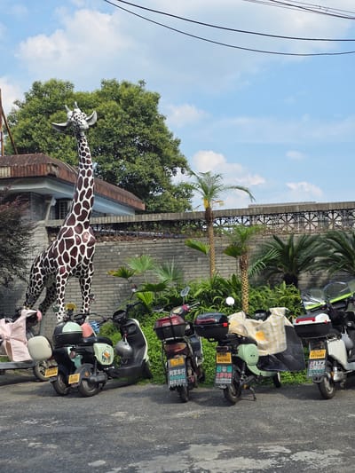 A life-sized giraffe statue stands in front of a brick wall and lush green foliage under a partly cloudy blue sky. The giraffe, with its distinctive brown and white spotted pattern, is positioned on the left side of the frame, leaning forward as if to drink. Several parked electric scooters are lined up in front of the giraffe and vegetation. The scooters are of various colors, including black, white, and light green, and some are adorned with bags or covers. A building with a tiled roof is visible behind the giraffe and wall. The scene appears to be an outdoor area, possibly a street or parking lot, in Xiaoshan District, China, given the presence of Chinese characters on the license plates of the scooters.