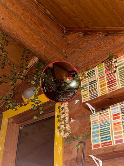 The scene shows a room with wooden walls and ceiling, decorated with rope and artificial ivy. A round mirror reflects a cozy interior. Above the mirror, rows of books line the wall, their spines visible, displaying titles and authors in what appears to be Russian. The arrangement includes works by O. Henry, Irwin Shaw, and Alexander Dumas. Other decorative elements include a string of bagels and paper origami birds. A lamp hangs from the ceiling.