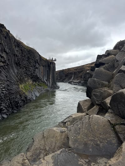 The image displays a deep canyon featuring a river flowing between impressive geological formations under an overcast sky. The most striking elements are the dark, columnar basalt rock formations that comprise the canyon walls on both sides of the river.

On the left side, a towering cliff face, intricately formed by layered basalt columns, descends steeply to the water's edge. Patches of green moss and sparse vegetation cling to the crevices and ledges of these dark rocks. Further in the distance, on the upper edge of this cliff, a small, dark man-made structure or platform is visible, accompanied by a few bare trees suggesting winter or a harsh environment.

The river itself is a murky green-grey, reflecting the cloudy sky and exhibiting a visible current with ripples on its surface. On the right side, the canyon wall also consists of large, angular basalt columns, some forming an overhang. These rocks show various textures, including areas with lichens and lighter mineral deposits.

The sky is uniformly light grey, indicating an overcast day with soft, diffused lighting. No direct sunlight is apparent. The scene depicts a rugged natural landscape without any visible human activity or individuals. There is no discernible text within the image. The unique columnar basalt formations are a strong indicator of a volcanic region, consistent with the given context of Iceland.
