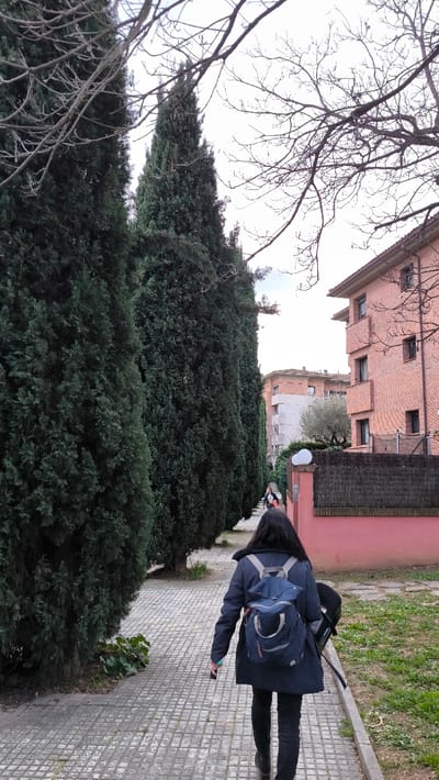 A woman walks away down a tiled sidewalk, wearing a dark jacket, black jeans, and a blue backpack. She holds an object in her hand. To her left are a row of tall, dark green trees. To her right is a low, pink wall and a grass lawn, with a brick building in the background. Bare tree branches are in the upper right of the frame. Two people walk far ahead on the sidewalk. The sky is overcast.