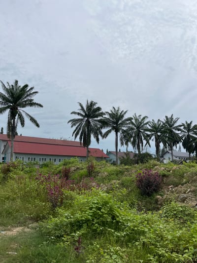 This is a vertical, medium-shot photograph taken outdoors in Bundar, Indonesia. The scene depicts a slightly overcast day, with a sky filled with soft, diffused clouds.
In the foreground and mid-ground, several tall palm trees with feathery fronds stand prominently, their silhouettes stark against the pale sky. Behind the palm trees, a long, low-rise building with a reddish-brown tiled roof is visible. The building has a light-colored facade and numerous rectangular windows with white frames. A portion of a rocky, vegetated hillside covered in lush green foliage rises to the right of the building and palm trees. The hillside is interspersed with patches of purple flowers and other dense greenery. The overall impression is one of a tropical or subtropical environment. There is no visible text in the image. The activity appears to be a static scene, with no people or discernible actions taking place. The lighting suggests it is daytime, likely morning or afternoon, given the overcast conditions.