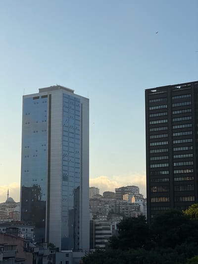The image depicts a view of the Şişli district in Istanbul, Turkey, with a clear sky and scattered clouds. Dominating the foreground are two modern skyscrapers: one a tall, glass-covered building with a light-colored facade and blue-tinted windows, and the other a darker, rectangular building with a grid of windows. In the background, a dense urban landscape unfolds, characterized by a mix of older and newer residential buildings, with a prominent minaret of a mosque visible to the left. Several birds are captured in flight against the sky. Lush green trees form a dense canopy in the lower right portion of the frame, contrasting with the architectural elements. The lighting suggests it is either early morning or late afternoon, with a soft, diffused light illuminating parts of the cityscape.