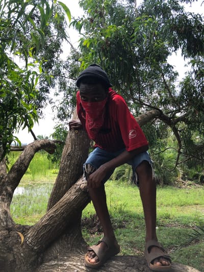 An individual is depicted seated on a thick, horizontal tree branch in a natural environment in Gbawe, Ghana. The person, appearing male, has dark skin and is wearing a black beanie, a red short-sleeved shirt with a subtle striped pattern and white logos on the right sleeve, ripped blue denim shorts, and brown open-toe sandals. A red bandana with a white pattern covers the lower portion of the individual's face, with only the eyes visible, looking directly at the camera. The left hand grips the main tree trunk for support, while the right hand rests on the right thigh. The tree has light brown bark and dense green foliage overhead and to the sides. In the background, a body of water, likely a pond or marsh, is visible with reflections, surrounded by tall green vegetation and more trees under an overcast sky.