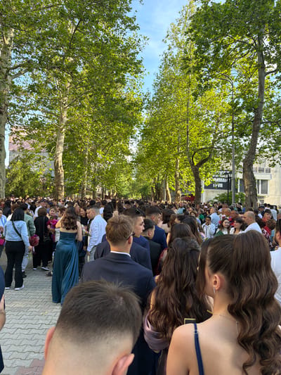 A long line of people, predominantly young adults, stretches down a street in Dulovo, Bulgaria, lined with tall trees bearing green leaves. The crowd appears dense, with people in formal wear, suits and dresses, suggesting a celebratory event. The street is paved with light-colored interlocking stones. In the background, buildings can be seen. The sky is visible through the trees, showing patches of blue.