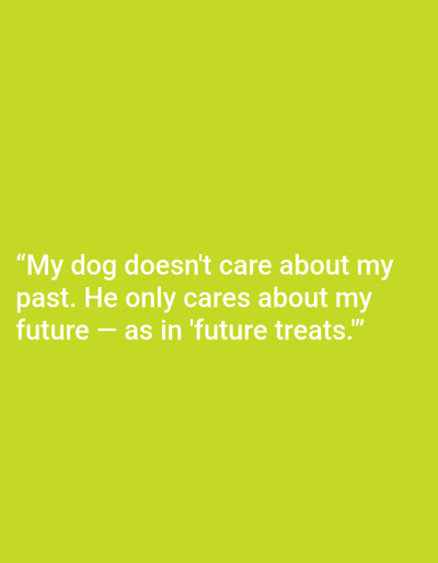 The image is a light green background with white text overlayed. The text reads: "My dog doesn't care about my past. He only cares about my future — as in 'future treats.'" There is no indication of the city of Kępno, Poland, or any specific location. The image is a simple graphic with text.