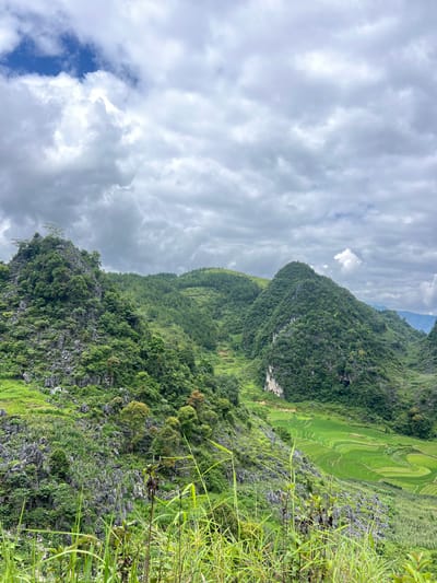 This is a landscape photograph of the Đồng Văn Karst Plateau Geopark in Đồng Văn Commune, Vietnam. The image captures a mountainous terrain with lush green vegetation. In the foreground, tall green grasses and some dry stalks are visible, with blurred rocky outcrops and more vegetation behind them.
Dominating the mid-ground are several large, rounded mountains covered in dense green trees. The slopes are steep and irregular, with some exposed rocky faces. To the right of the frame, a valley is visible, featuring a series of vibrant green terraced rice fields, intricately carved into the landscape with curved borders.
The background is filled with more undulating hills and mountains, also covered in a variety of green foliage, stretching towards the horizon. The sky above is a mix of dramatic, heavy grey clouds with patches of lighter grey and white, and a small area of bright blue sky in the upper left corner. The overall impression is one of a vast, natural landscape under a partly cloudy sky. There are no people or animals visible in the image.