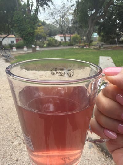 A hand with manicured pink nails holds a clear glass pitcher filled with a pink liquid, possibly juice or rosé wine. The "KitcheNette" logo is visible on the pitcher. The background is out of focus, showing greenery, trees, and a pathway. The pitcher is the main focus, with the hand and background providing context to the image.