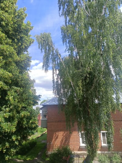 The image shows a view of a brick building with a metal roof, seen through the branches of two trees. The building has at least two windows. The trees are lush and green, with one appearing to be a birch tree with white bark. The sky is blue with scattered white clouds. The scene appears to be set in a residential area, possibly a courtyard or backyard. The presence of a swing set in the foreground suggests a children's play area. The metadata indicates the image was taken in Donskoy, Russia.