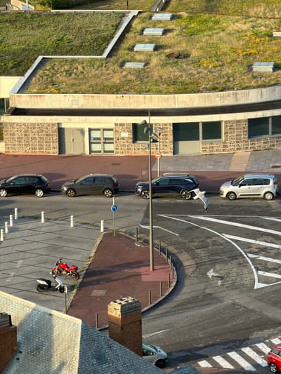 An aerial view captures a street scene in Dieppe, France, bathed in the golden light of a late afternoon sun. The upper portion of the frame is dominated by a curved, multi-level building topped with a green roof, densely covered with grass and scattered yellow wildflowers. The roof features several metallic ventilation shafts and a distinct, zig-zagging metal trim. Below the green roof, the building's facade is clad in a textured, light-colored stone with a grid pattern, interspersed with windows.
At street level, several cars are parked along the curb. A black hatchback is parked on the left, followed by a dark grey hatchback, and further down, a dark blue SUV. Across the street, a silver minivan is parked, and to its right, a red car is visible. A seagull is captured in mid-flight between the blue SUV and the silver minivan.
In the foreground, two motorcycles are parked: a red sportbike and a white scooter. The road surface is asphalt, marked with white lines, including a pedestrian crossing and directional arrows. The scene is framed by the edges of buildings, one with a slate roof and exposed brick chimneys, and another with a lighter-colored facade. The overall impression is a quiet, urban environment with elements of nature integrated into the architecture.