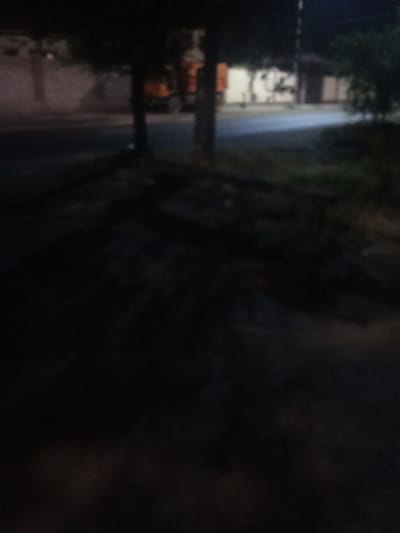 The image depicts a dimly lit street scene at night, possibly in Taraz, Kazakhstan. The foreground is dominated by darkness, with faint shadows suggesting uneven terrain. In the mid-ground, the outlines of two trees are visible, casting long shadows across what appears to be a paved surface, likely a road or sidewalk. Beyond the trees, the background is a blur of light and color. A light-colored building with rectangular openings, possibly windows or doors, can be discerned. To the right of the building, an orange structure, which might be a vehicle or construction equipment, is partially visible. The overall impression is that of a quiet, possibly residential or commercial area, captured during nighttime hours, with limited illumination. The lack of sharp detail and the presence of shadows indicate low light conditions and potentially a moving camera or subjects.