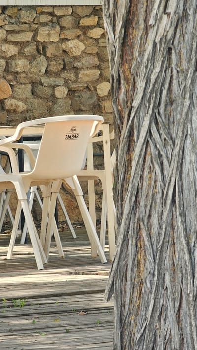 In Alhama de Aragón, Spain, an outdoor seating area is depicted, dominated by a large tree trunk in the foreground on the right, its rough, grey, and textured bark showing hints of yellow and brown. To the left, several white plastic chairs with the logo "AMBAR" are visible, arranged around tables. The chairs are made of molded plastic and have a contemporary design, with a high backrest. They are situated on a wooden deck made of weathered planks, which shows some signs of wear and has small green plants growing between the boards in the lower left section of the image. In the background, a rough-hewn stone wall forms the backdrop, adding a rustic element to the scene. The lighting suggests it is daytime, with sunlight casting shadows on the wooden deck, highlighting the textures of both the tree and the stone wall.