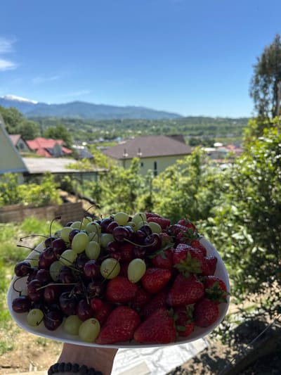 A person's hand, adorned with a black beaded bracelet, is visible on the right, holding a white bowl brimming with fresh fruit. The bowl is filled with ripe red strawberries, clusters of light green grapes, and dark red cherries.
The image captures a bright, sunny outdoor scene under a clear blue sky. In the background, a verdant landscape extends, characterized by dense green trees, several houses with varying rooftops (some brown, some red), and distant mountains. A portion of the mountain range appears to have snow-capped peaks. The setting suggests an elevated viewpoint, possibly from a balcony or terrace, overlooking a picturesque valley.
The overall impression is one of freshness, nature, and relaxation on a beautiful day, likely summer or late spring. The location is contextualized as Vesyoloye, Russia. There is no visible text in the image.