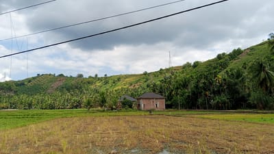 This image depicts a rural landscape in Mataie, Indonesia. In the foreground, there are two fields, one with dry, harvested crops and another with green vegetation. A small house with a tiled roof and brick walls is situated in the middle ground, surrounded by lush green trees, including palm trees. In the background, a steep, verdant hill rises, dotted with more trees and some patches of bare earth. The sky is partially cloudy, with a mix of gray and white clouds. Power lines are visible running across the top of the frame. A tall transmission tower stands on the crest of the hill.