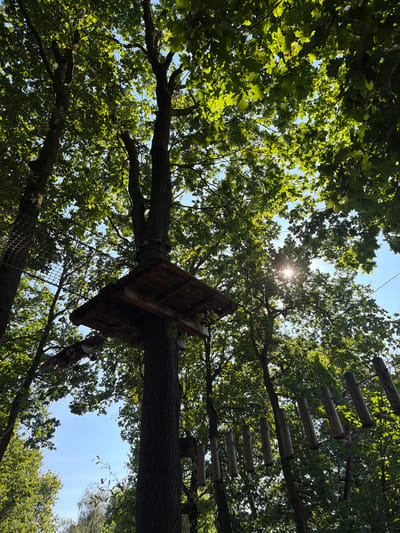 This is a ground-level, wide-angle, upward-facing shot of a ropes course situated among mature trees in Heijen, Netherlands. The sun shines through the dense green canopy, creating dappled light and a lens flare. The ropes course features wooden platforms built around tree trunks, suspended rope bridges, and a cargo net. In the foreground, a thick tree trunk dominates the right side, supporting a wooden platform. To the left, another tree trunk is visible with a cargo net attached. Further back, a series of suspended wooden logs form part of the course. The sky is clear blue. No people are visible.