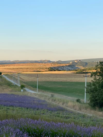The image captures a serene rural landscape bathed in the warm light of late afternoon or early evening. In the foreground, a vast field of vibrant purple lavender stretches across the frame, with its delicate blossoms creating a rich tapestry of color. To the left, a narrow dirt road winds its way through the undulating terrain, bordered by dry grasses and punctuated by a few isolated trees.
The middle ground reveals a patchwork of agricultural fields, transitioning from golden-brown harvested crops to lush green pastures. A series of utility poles with wires stand sentinel along the road, stretching towards the horizon. In the distance, rolling hills are dotted with scattered houses, suggesting a small rural settlement. Dominating the far horizon is a majestic, rocky plateau, its imposing form silhouetted against the pale blue sky, which gradually fades to a soft yellow near the horizon, indicative of an approaching sunset. The overall impression is one of tranquility and natural beauty in a rural setting, likely within the Krasnomakskoye rural settlement in Ukraine, given the context.