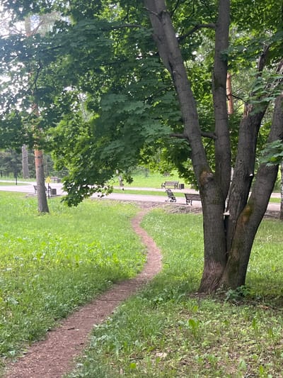 The image depicts a park in the city of Oktyabrsky, Russia. A winding dirt path leads the viewer through lush green grass and vegetation, curving towards a paved walkway in the background. Several park benches are visible along the paved path, with one bench occupied by a stroller. Tall trees with dense green foliage provide shade over the scene. The overall impression is one of a peaceful, natural environment within an urban setting.