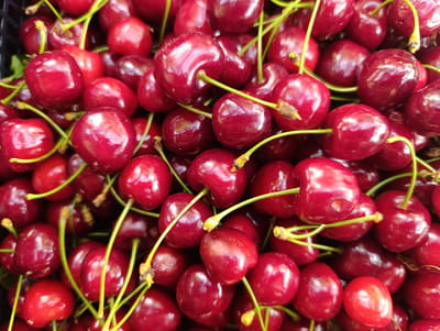 A close-up, overhead view shows a large pile of ripe, dark red cherries. The cherries are mostly round with a slight indentation at the top where the green stems attach. The stems are thin and vary in length, with some appearing fuzzy at the end. The cherries have a glossy sheen, indicating freshness, and their surfaces are smooth. The lighting creates highlights and shadows, giving the pile a textured appearance. The background is a dark, out-of-focus mass, possibly a container. There are no people or discernable environmental elements beyond the cherries themselves that would suggest a specific location in Nikolichevtsi, Bulgaria.