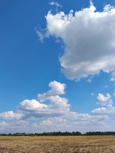 This is a photograph taken from a low angle, looking out over a field of dry, brown earth that appears to have been recently plowed or harvested. The field occupies the lower half of the image. In the background, a dense line of dark green trees stretches across the horizon, suggesting a forest or a treeline. Above the trees, the sky is a vibrant, clear blue. Scattered across the sky are numerous fluffy, white cumulus clouds of varying sizes. Some clouds are small and wispy, while others are large and billowy, casting soft shadows on themselves. The overall scene evokes a sense of a clear, sunny day. The lighting suggests it is daytime, likely mid-morning or afternoon, due to the bright sunlight illuminating the clouds and landscape. There is no visible text in the image. The location is identified as Ustyvytsya, Ukraine.