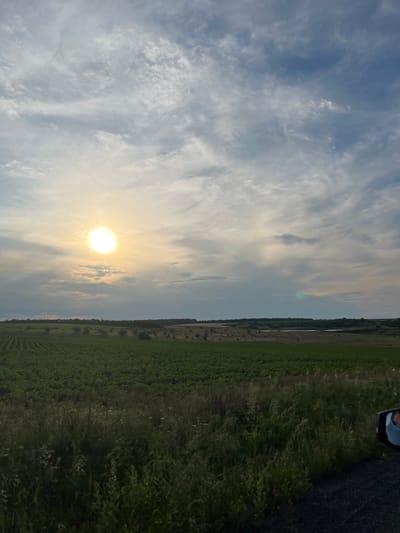 This image depicts a wide landscape scene with a bright sun in the upper left quadrant, partially obscured by wispy clouds. The sky is a mix of light blue and grey, with streaks of white clouds stretching across. In the middle ground, there is a large, cultivated field of green crops, likely a plantation of young plants arranged in neat rows. Beyond the cultivated field, the terrain transitions to a more natural landscape with scattered trees and shrubs, and a body of water is visible in the distance. The foreground features tall, wild grass and vegetation. The bottom right corner of the image shows a portion of a car's side mirror, reflecting a person's face and shoulder. The scene appears to be an outdoor rural setting, possibly on the outskirts of Poltavka, Ukraine, during daylight hours, likely late afternoon or early evening given the angle of the sun.