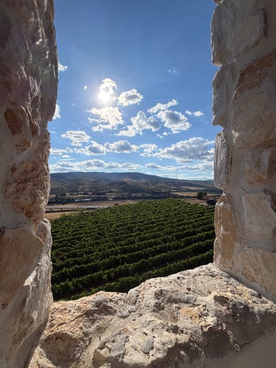 This is a landscape photograph taken from within a stone structure, possibly a tower or ancient wall, offering a framed view of a vineyard and the surrounding countryside. The foreground is dominated by the rough-hewn, textured stones of the structure on the left and right sides of the frame, creating an aperture through which the scene is viewed.
Beyond the stone frame, a vast vineyard with perfectly aligned rows of green grapevines stretches across the mid-ground, its lush foliage creating a dense carpet of green. The vineyard is situated on gently sloping terrain, leading the eye towards the horizon.
In the background, rolling hills covered in a mix of vegetation and cultivated land recede into the distance. A highway with a few vehicles is visible crossing a plain between the vineyard and the hills. Further back, the landscape becomes more mountainous, with a hazy, undulating silhouette against the sky.
The sky is a vibrant blue, punctuated by scattered white, fluffy cumulus clouds. The sun is prominently visible, shining brightly and casting strong light and shadows, with visible sun rays emanating outwards. The overall impression is one of a clear, sunny day in a rural, possibly wine-producing region.
Based on visual cues and common geographical features, this image is likely located in or near the town of Kocherinovo, Bulgaria, which is known for its vineyards and scenic countryside.