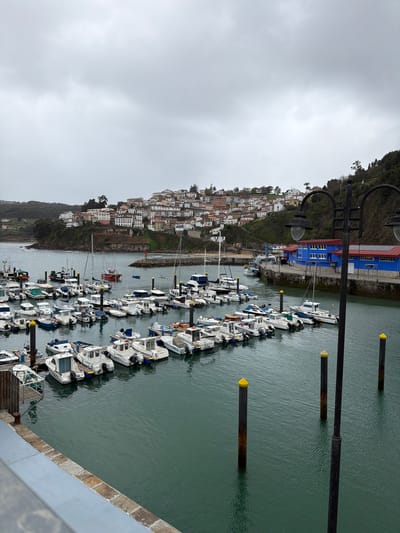 The image depicts a marina in Colunga, Spain, under an overcast grey sky. The scene is dominated by a body of greenish-grey water containing numerous moored recreational and fishing boats, predominantly white with outboard engines, docked along floating piers. Multiple dark pilings with yellow tops are visible in the water, serving as mooring points.

In the background, a densely built town with white and light-colored buildings featuring red or orange roofs ascends a steep, vegetated hillside. A small red lighthouse is visible on a breakwater at the entrance to an inner harbor section. To the right, a large blue building with a red roof, possibly a marine facility, stands adjacent to the water, backed by a steep, treed slope. In the immediate foreground, a grey concrete and stone railing occupies the bottom left, while a black, two-lamp streetlamp stands vertically on the right side of the frame. No individuals are visible, and no overt actions or interactions are depicted.