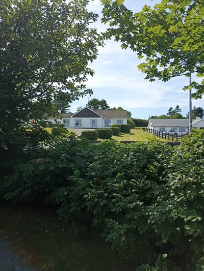 The image depicts a residential area in Dungloe, Ireland, on a sunny day. In the foreground, dense green foliage and bushes obscure the lower portion of the scene, with a glimpse of a pink flower. Beyond the bushes, a white, single-story house with a brown roof is visible, characterized by large windows and manicured hedges. Further to the right, another white house with a similar roofline and large windows is present, with a wooden fence separating it from a green lawn. A white SUV is parked in front of this second house. Trees dot the landscape in the background, and the sky is partly cloudy. The scene suggests a tranquil suburban or semi-rural setting.