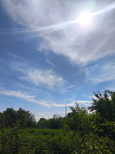A bright, sunny sky with wispy white clouds dominates the upper portion of the image. The sun is high and intensely bright, creating a lens flare effect. A faint contrail from an aircraft stretches diagonally across the sky. The lower half of the image features a dense, lush green landscape of trees and bushes, indicating a natural or overgrown area. The foliage is thick and varied, suggesting a natural environment. In the background, a few utility poles and wires are visible amongst the trees, hinting at the presence of infrastructure. The scene appears to be outdoors, possibly in a rural or semi-rural setting within the city of Terekty, Kazakhstan, given the context. There are no people or animals visible in the image.