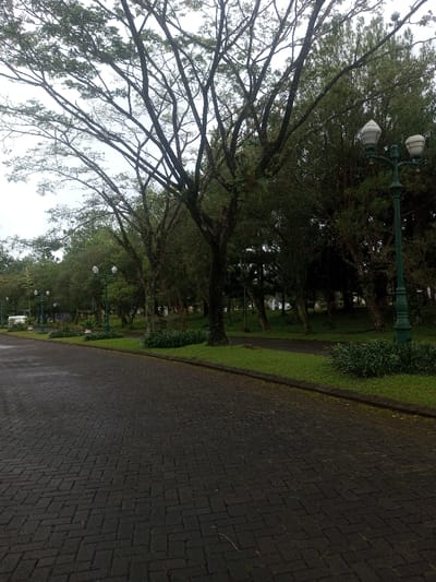 A tranquil park scene unfolds on a gray day. Dark, herringbone-patterned pavement stretches into the distance, bordered by neatly manicured green grass. Mature trees with bare branches reach skyward, interspersed with lush, leafy trees. Decorative lampposts stand tall, their globes awaiting the evening. A hint of buildings peeks through the trees, suggesting a peaceful community beyond the park.