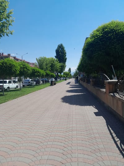 In Artashat, Armenia, on a sunny day, a paved pedestrian walkway with a curved, fan-like pattern of red and grey bricks runs parallel to a street lined with parked cars and evenly spaced trees with dense, rounded canopies. Beyond the trees, buildings with flat roofs are visible. On the right side of the walkway, a low, textured concrete wall topped with a black metal fence separates the walkway from a grassy area and more trees. Shadows cast by the trees and a fence are visible on the walkway. A single person is walking away from the camera on the right side of the walkway, and another person is walking towards the camera in the distance on the left side of the street. The sky is clear and blue.