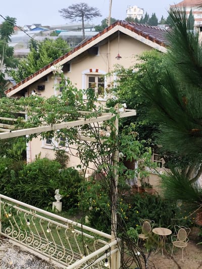 This is a photograph of a house and garden in Lang Biang - Đà Lạt, Vietnam. The house is painted a pale yellow with a terracotta tiled roof. A vine with white flowers is growing up a white trellis in front of the house. In the foreground, there is a white metal railing with decorative scrollwork, and some string lights are attached to it. To the right of the house, there is a small outdoor seating area with two light-colored metal chairs and a matching table. The garden is lush and green with various plants, including ferns and small yellow flowers. A statue of a bust is visible in the garden behind the railing. In the background, more houses and greenhouses can be seen, along with a large, bare tree and a distant building. The sky is overcast.