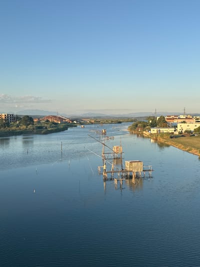 This is a wide shot of a calm body of water, likely a river or inlet, under a clear blue sky. The water's surface shows gentle ripples. On the water, several wooden fishing structures with small huts on stilts are visible. These structures have elaborate wooden frameworks with some appearing to have corrugated metal roofs. The water is dotted with vertical poles, likely part of the fishing setups.
The left bank of the water body is lined with lush green reeds and trees, with several modern buildings, some under construction with exposed frameworks, further inland. The right bank is more developed, with a line of white and yellow buildings, including residential structures and possibly commercial establishments. Green grass and scattered trees are also present along this bank. In the distance, rolling hills and mountains are visible, softened by the atmospheric haze. Power lines and poles are also present in the background. The lighting suggests it is late afternoon or early evening, with the sun casting a warm glow. The scene appears to be in or near a populated area, likely a coastal town or city, given the architecture and presence of fishing structures.