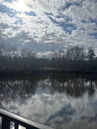 A serene, partially reflected scene presents a body of water mirroring a cloudy sky with a visible sun. A line of bare trees stands between the water and sky, their leafless branches stark against the light. The water's surface shows ripples and reflections of the sky and trees. A portion of a metal railing is visible in the lower right corner, suggesting a viewpoint from a bridge or similar structure.