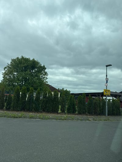 The image shows a street-level view of a residential area under a cloudy sky. In the foreground is an asphalt road. Behind the road, a chain-link fence encloses a row of tall, conical evergreen trees. Beyond the trees, a large, leafy tree is visible, along with a building that appears to be a house with a red roof. To the right of the building, a street lamp stands with several signs attached. One sign, in yellow with black text and an image of two children, reads "Gas weg Kindergarten". This suggests the location is near a kindergarten. The overall impression is a suburban or semi-rural setting, possibly in Neukirchen, Germany, given the presence of German signage. There are no people visible in the image, and no actions are taking place. The environment is calm and static.